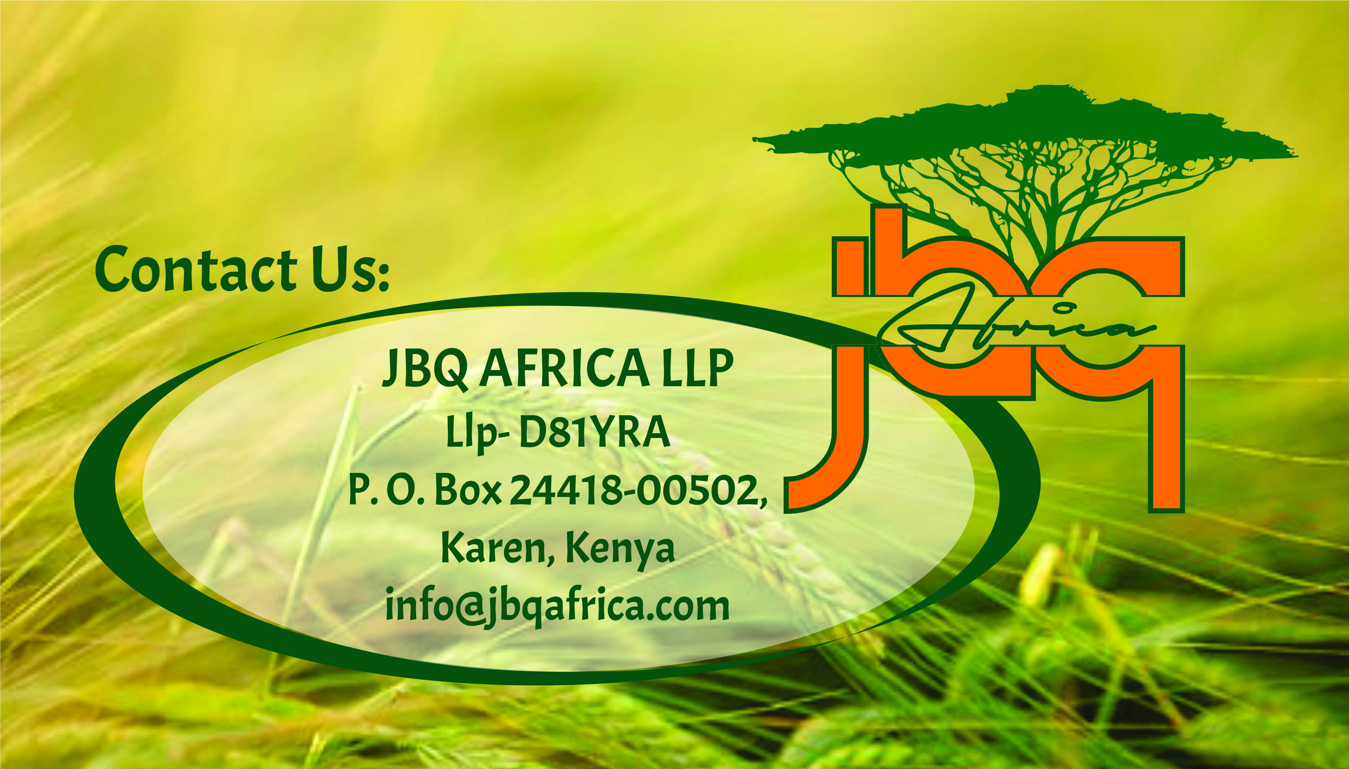 JBQ AFRICA LLP